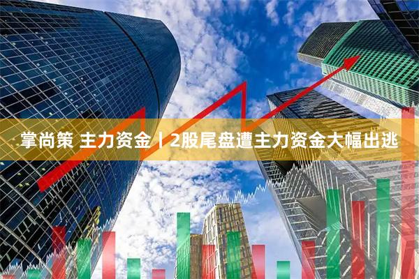掌尚策 主力资金丨2股尾盘遭主力资金大幅出逃