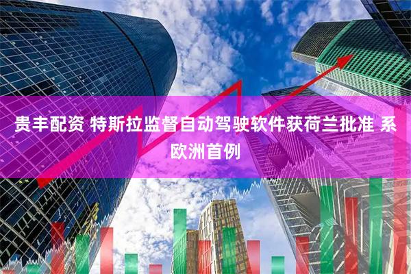 贵丰配资 特斯拉监督自动驾驶软件获荷兰批准 系欧洲首例
