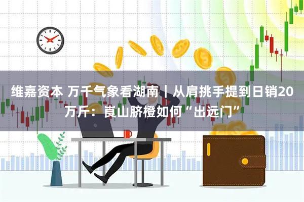 维嘉资本 万千气象看湖南｜从肩挑手提到日销20万斤：崀山脐橙如何“出远门”