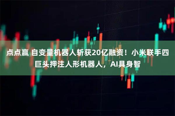 点点赢 自变量机器人斩获20亿融资!小米联手四巨头押注人形机器人,AI具身智