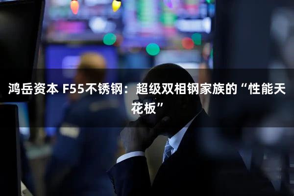 鸿岳资本 F55不锈钢：超级双相钢家族的“性能天花板”