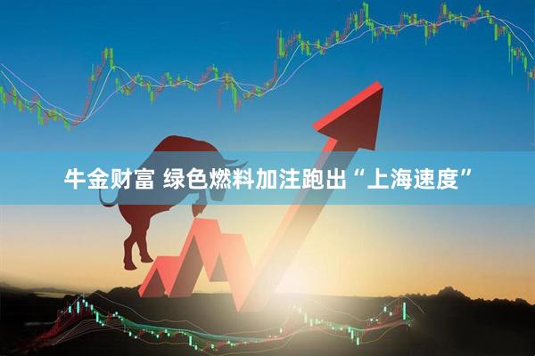 牛金财富 绿色燃料加注跑出“上海速度”