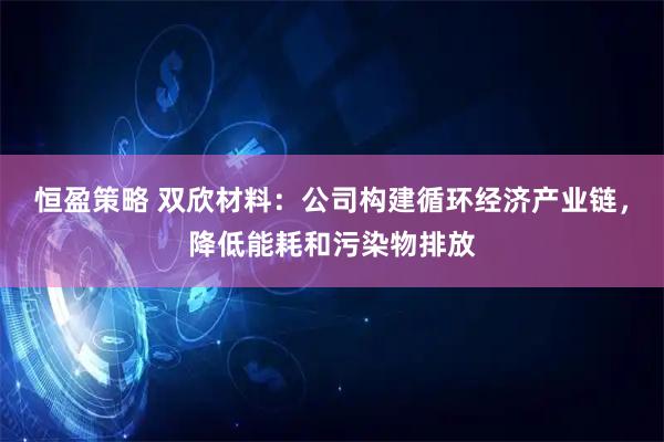 恒盈策略 双欣材料：公司构建循环经济产业链，降低能耗和污染物排放