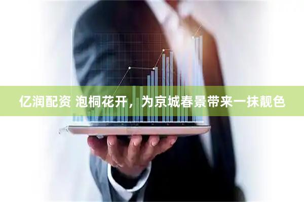 亿润配资 泡桐花开，为京城春景带来一抹靓色