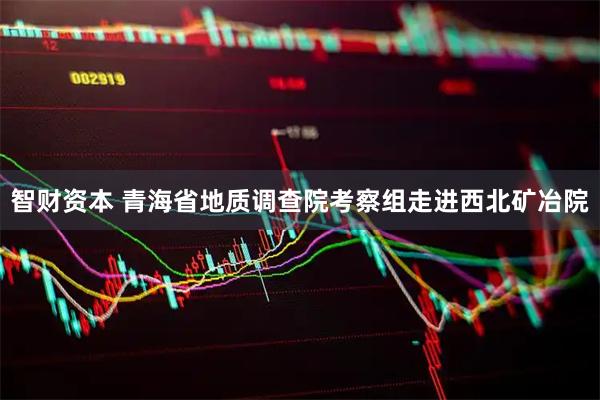 智财资本 青海省地质调查院考察组走进西北矿冶院