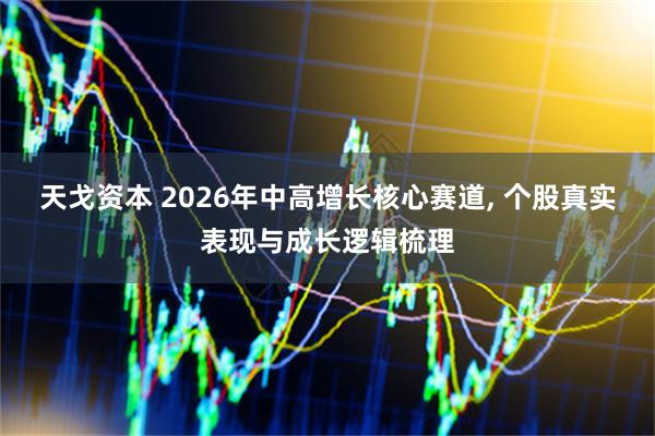 天戈资本 2026年中高增长核心赛道, 个股真实表现与成长逻辑梳理