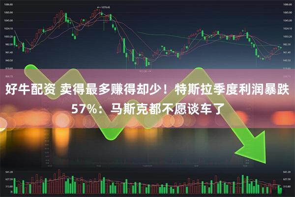 好牛配资 卖得最多赚得却少！特斯拉季度利润暴跌57%：马斯克都不愿谈车了